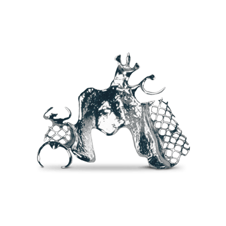 Vitallium® Cast Partial